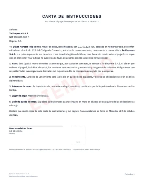 Ejemplo de carta de instrucciones en PDF