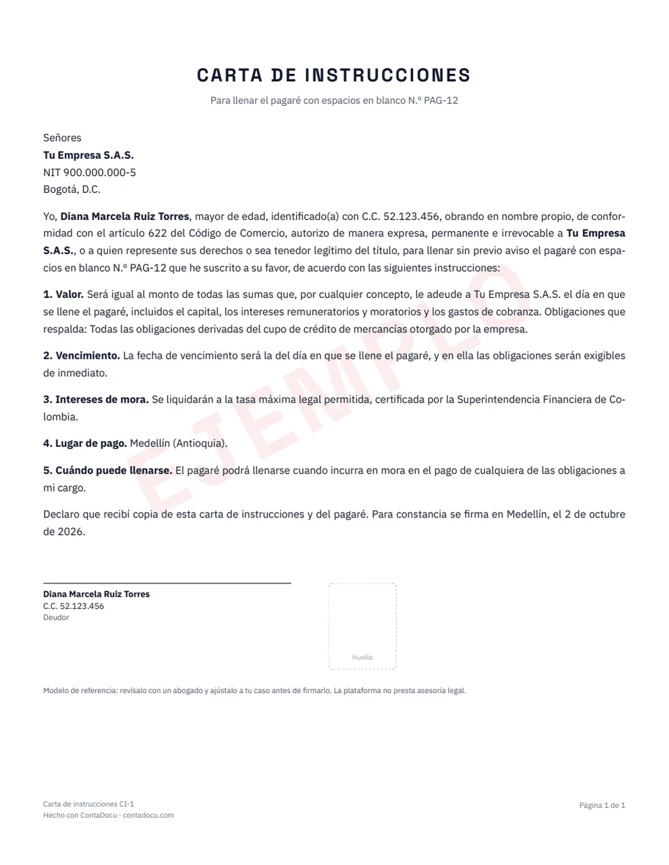 Ejemplo de carta de instrucciones con datos ficticios